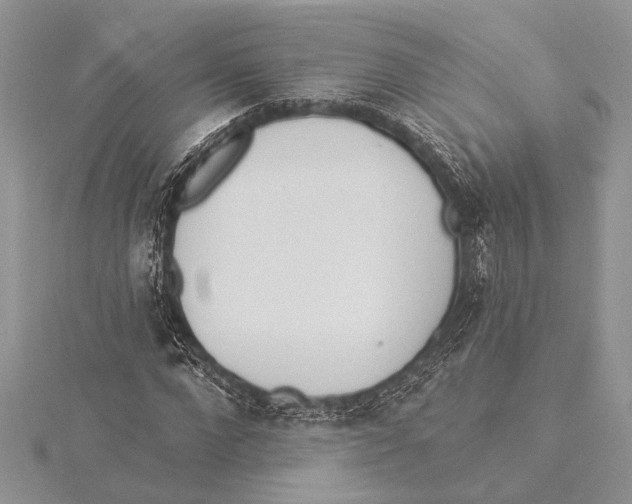 X0000115430872200912020922