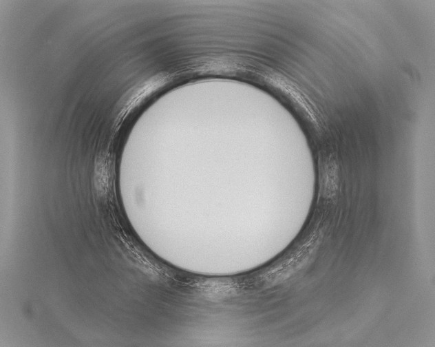 X0000115430874200912020922