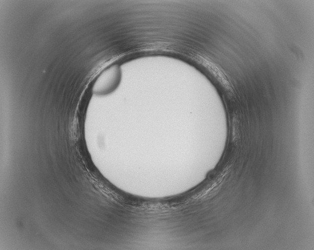 X0000115430876200912020922