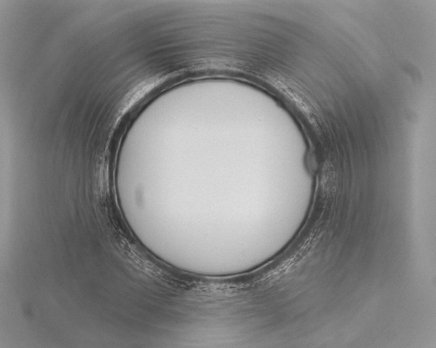 X0000115430877200912020922