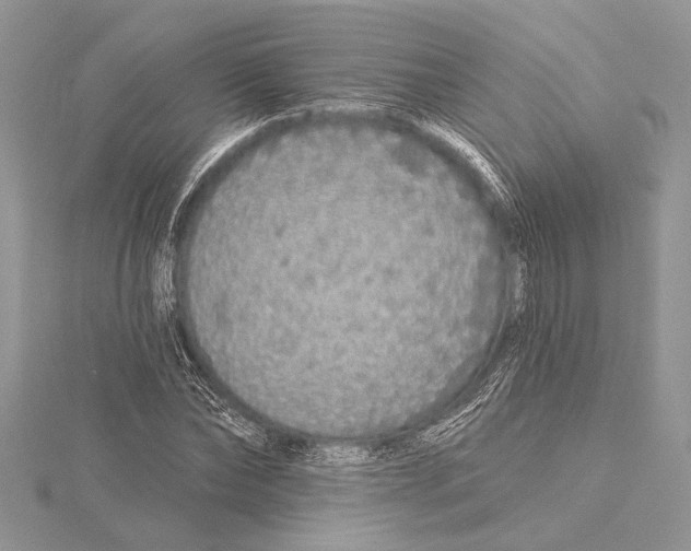 X0000115430878200912020922