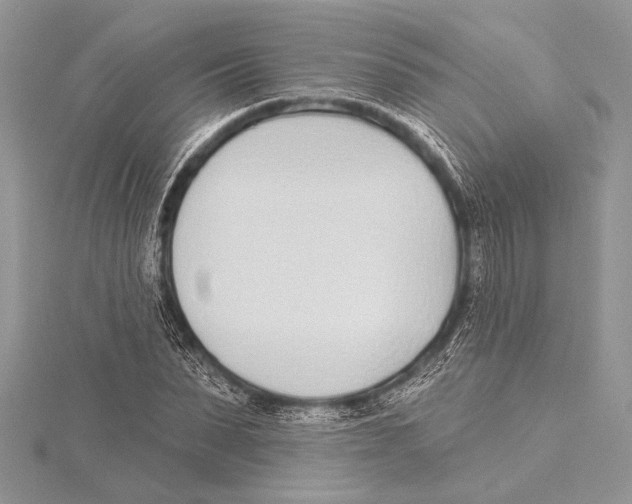 X0000115430879200912020922