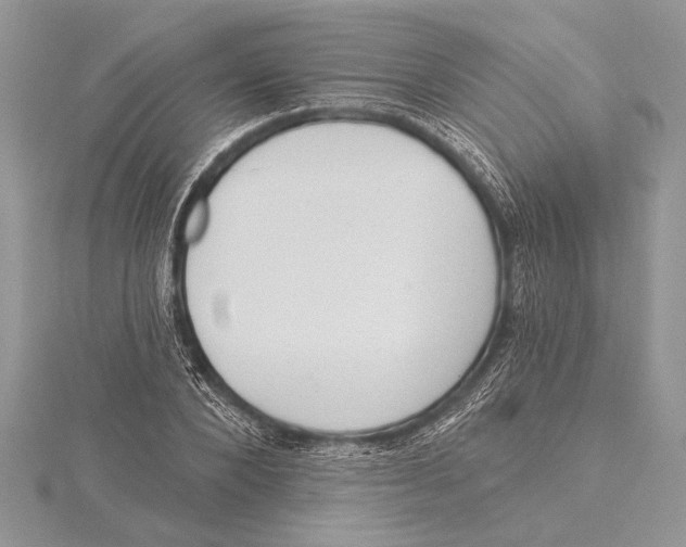 X0000115430880200912020922