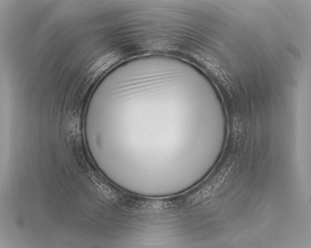 X0000115430881200912020922