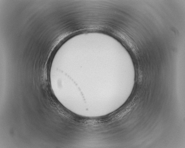 X0000115430883200912020922