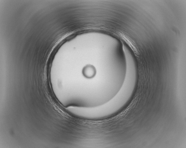 X0000115430884200912020922