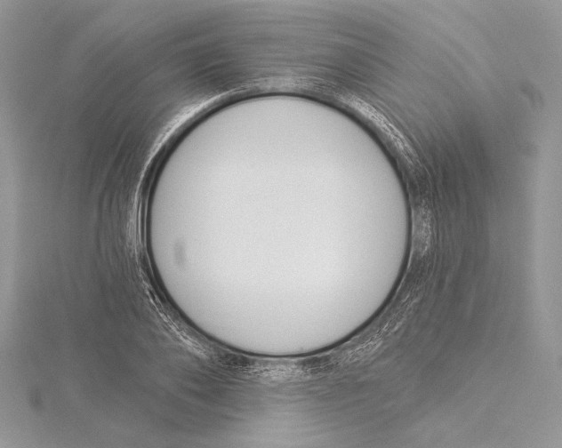 X0000115430886200912020922