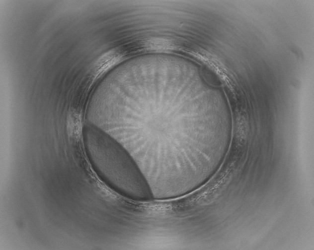 X0000115430889200912020922