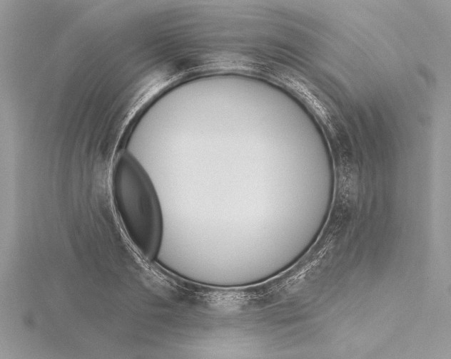 X0000115430893200912020922