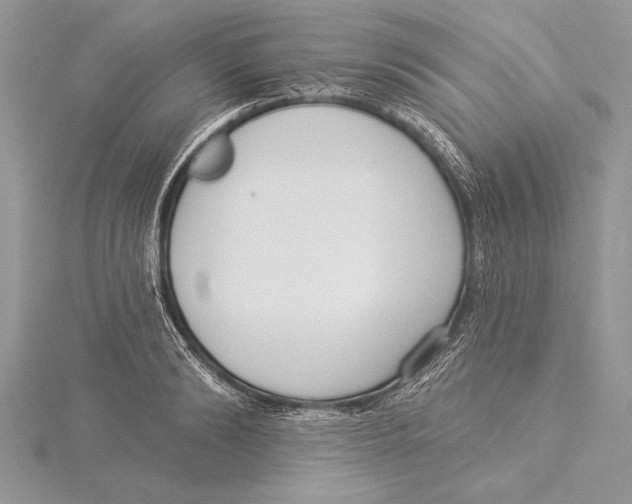 X0000115430894200912020922