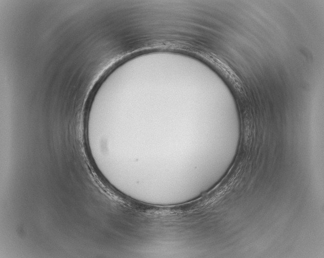 X0000115430896200912020922