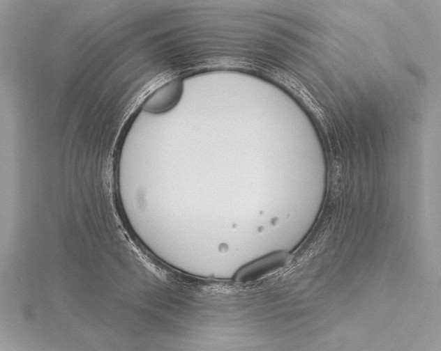 X0000115430898200912020922