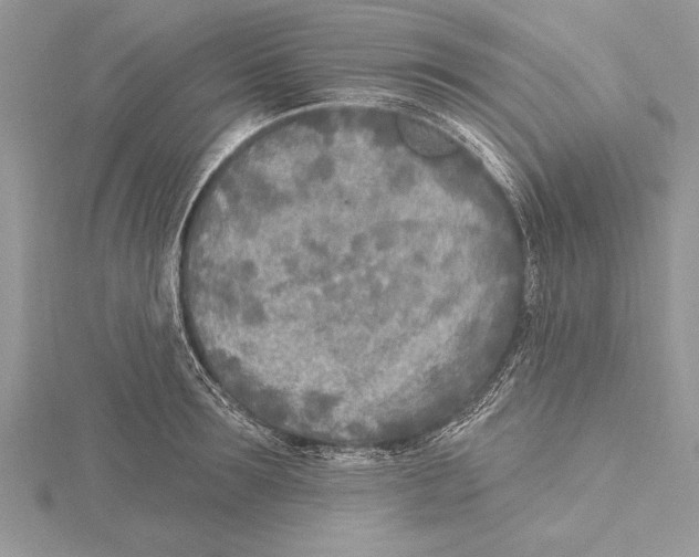 X0000115430899200912020922