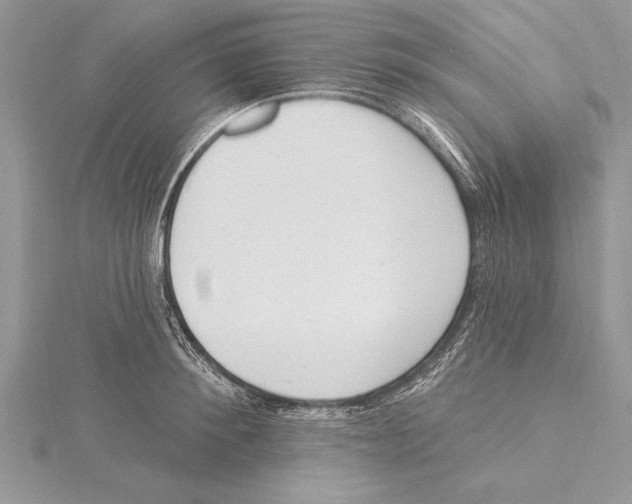 X0000115430900200912020922