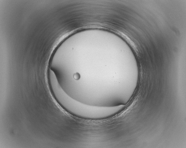 X0000115430901200912020922