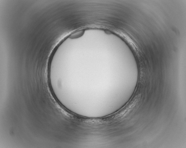 X0000115430902200912020922