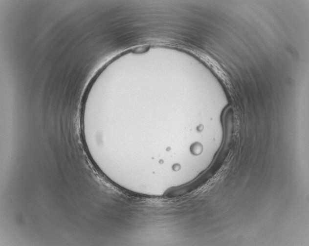 X0000115430904200912020922