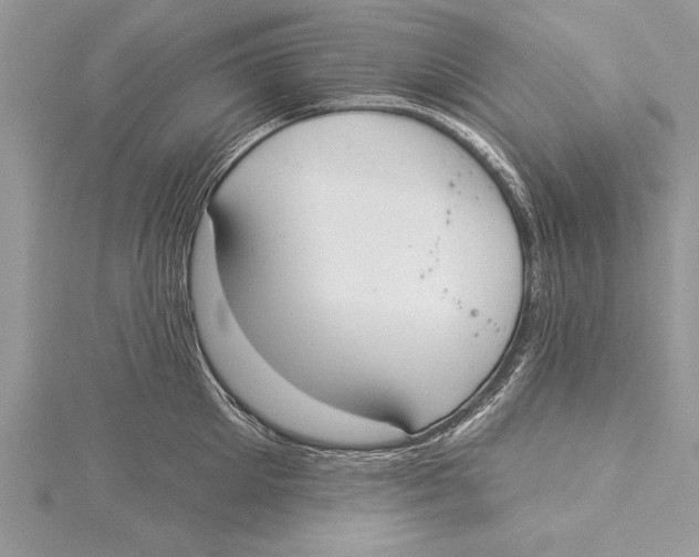 X0000115430905200912020922