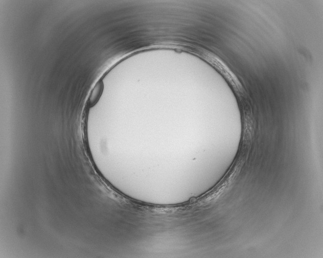 X0000115430908200912020922