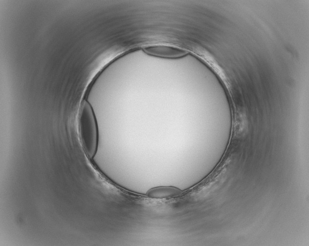 X0000115430909200912020922