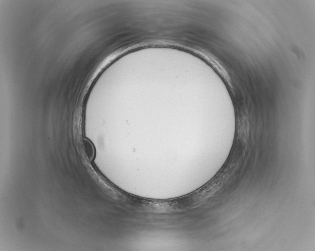 X0000115430911200912020922