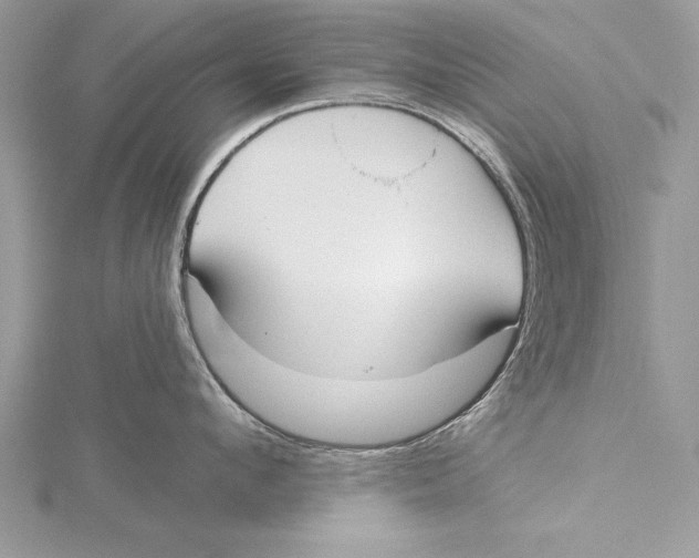 X0000115430912200912020922