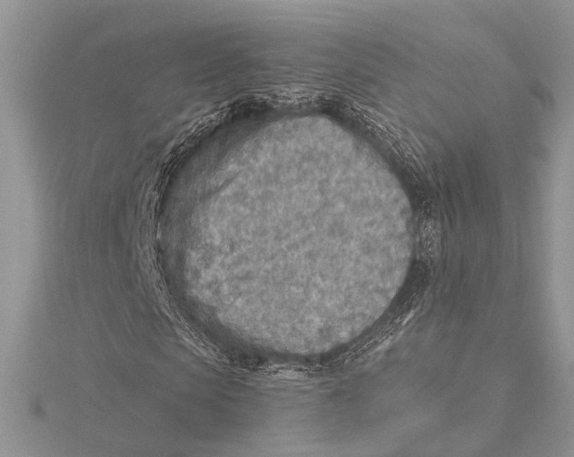 X0000115430913200912020921