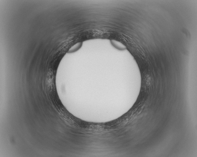 X0000115430914200912020921