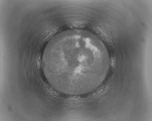 X0000115430915200912020921