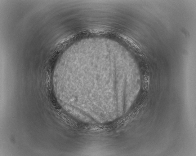 X0000115430917200912020921