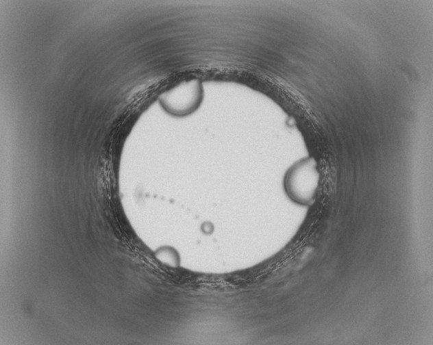 X0000115430918200912020921