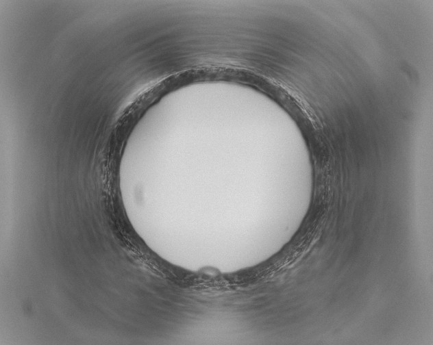 X0000115430919200912020921