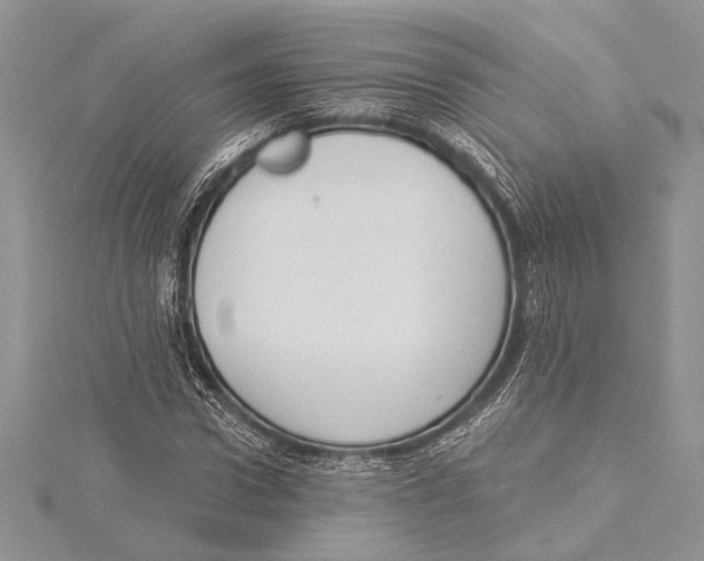 X0000115430922200912020921