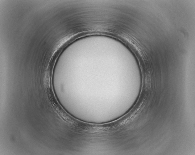 X0000115430925200912020921