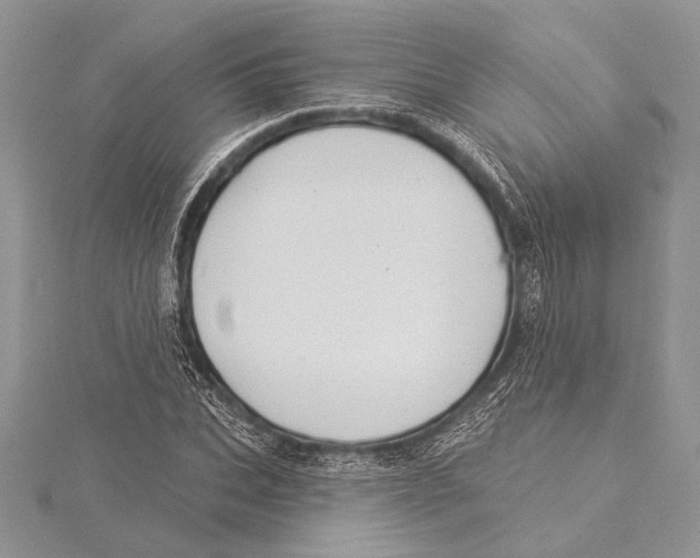 X0000115430927200912020921