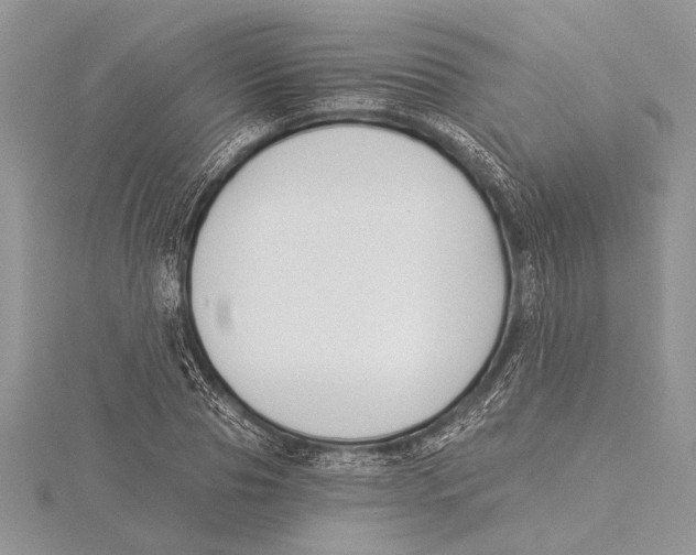 X0000115430929200912020921