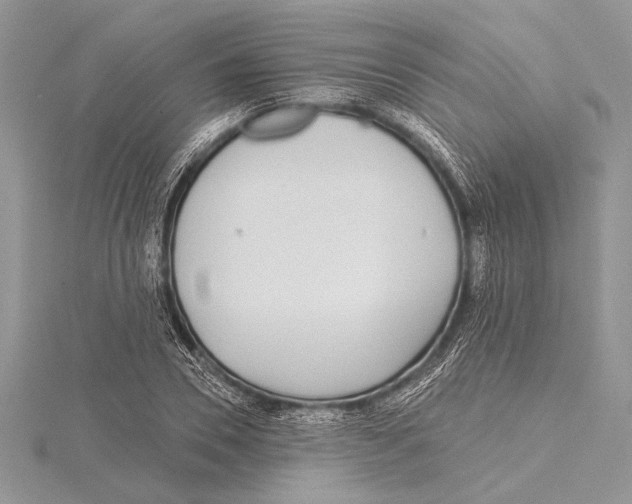 X0000115430930200912020921