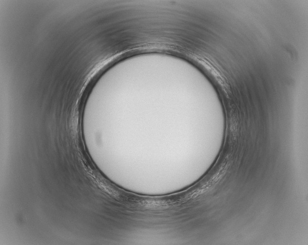 X0000115430933200912020921