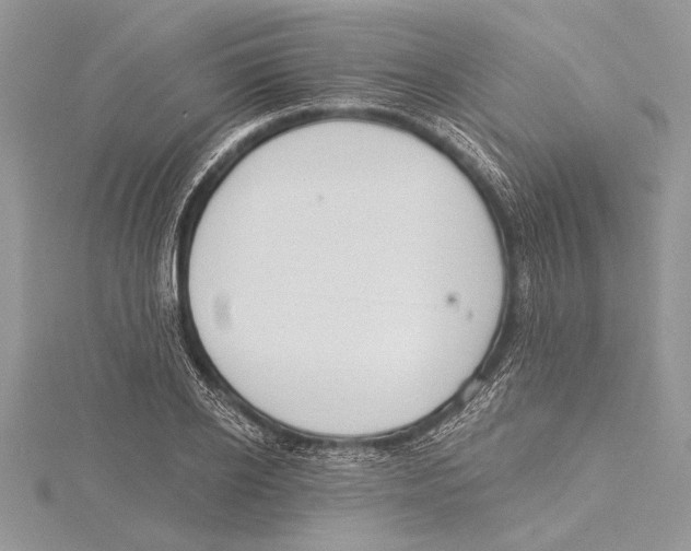 X0000115430934200912020921