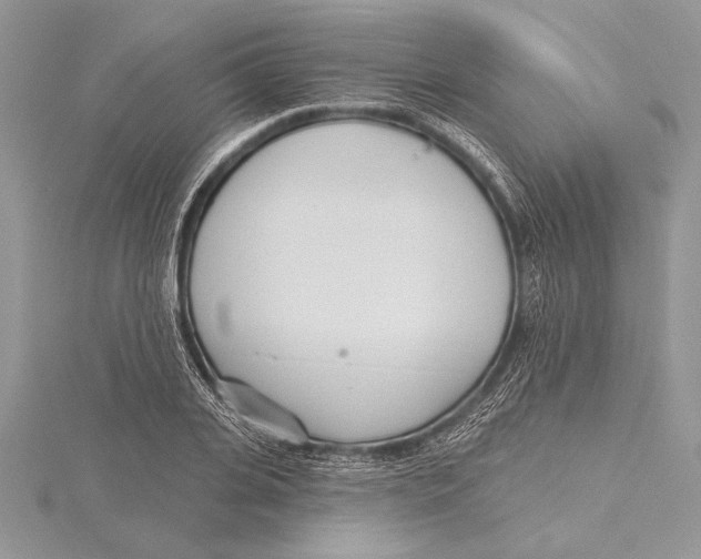 X0000115430935200912020921