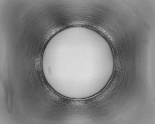 X0000115430937200912020921