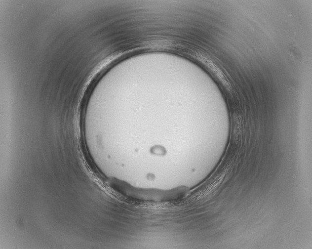 X0000115430939200912020921