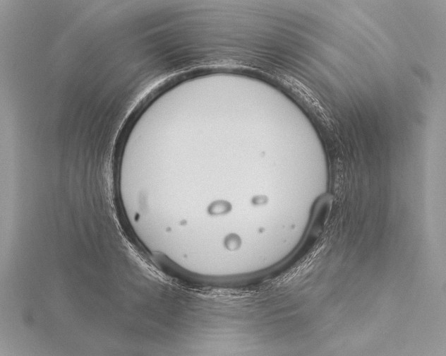 X0000115430942200912020921