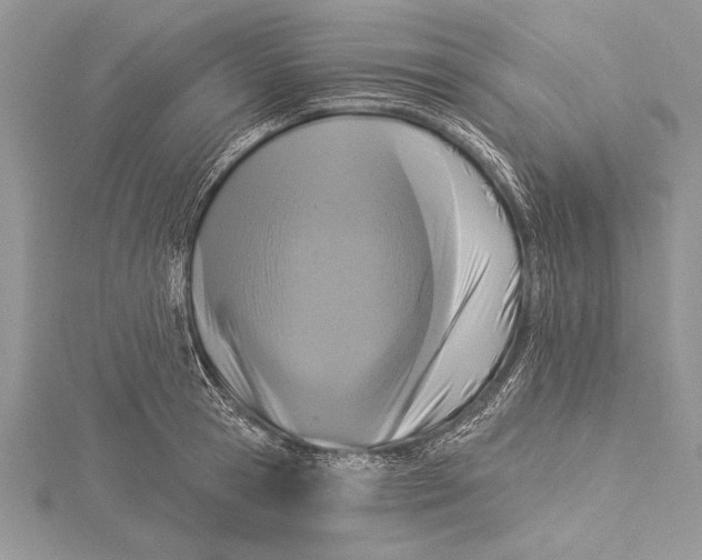 X0000115430945200912020921