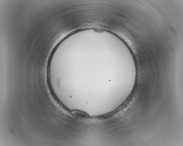 X0000115430949200912020921