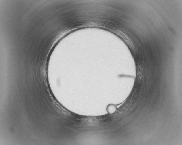 X0000115430950200912020921