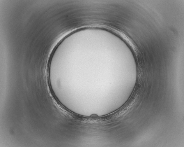 X0000115430951200912020921