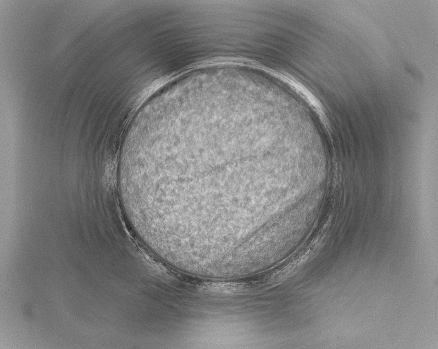 X0000115430953200912020921