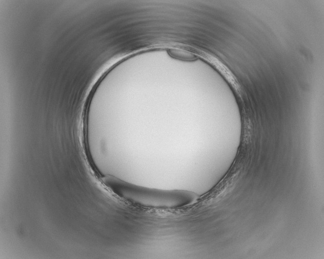 X0000115430955200912020921