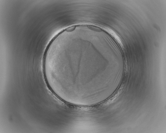 X0000115430958200912020921